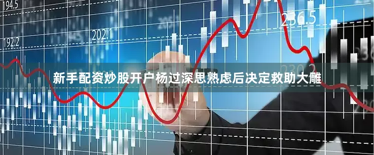 新手配资炒股开户杨过深思熟虑后决定救助大雕